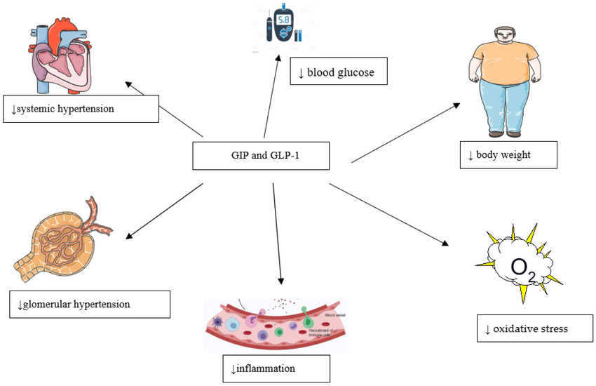 Potential Side Effects of Glucotrust